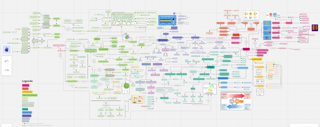 Das „Mensch und Umwelt“ Profil hat im ersten Semester beeindruckende Concept Maps zum Thema Stoffwechselphysiologie erstellt.