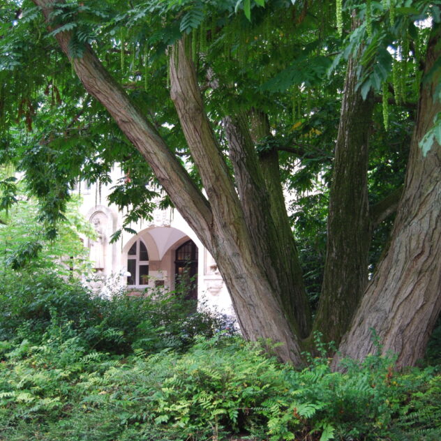 Gymnasium_Altona_Park