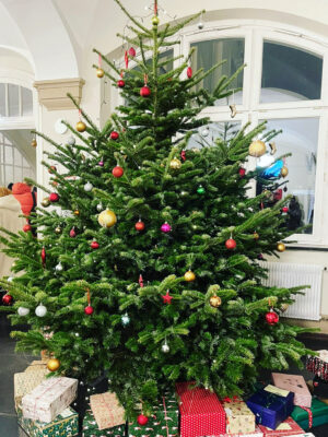 Weihnachtsbaum_2024